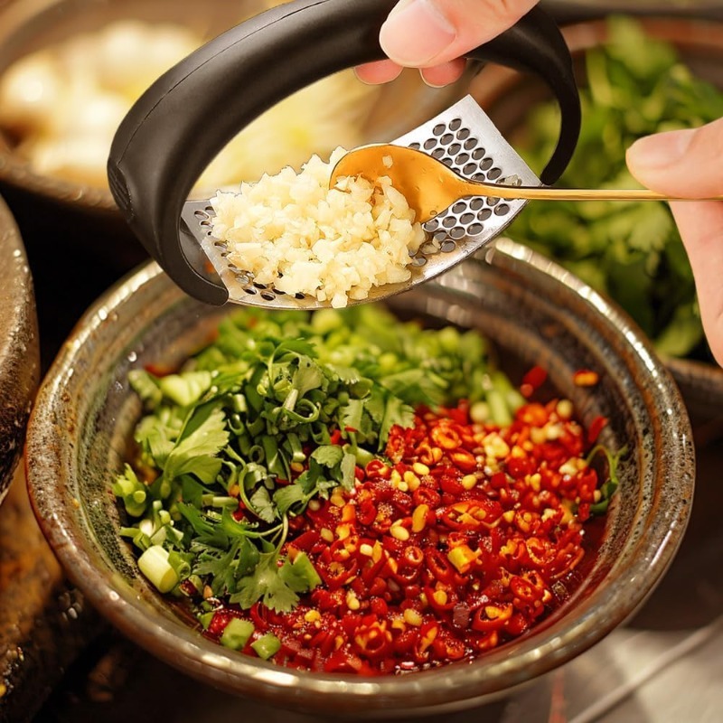 Presse-ail en acier inoxydable - Kitchen Utensils avis et prix